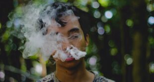 Understanding-Hozloxdur25